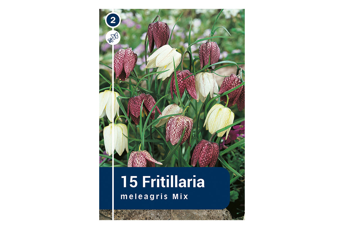 Master Fritillaria Meleagris 15/1 