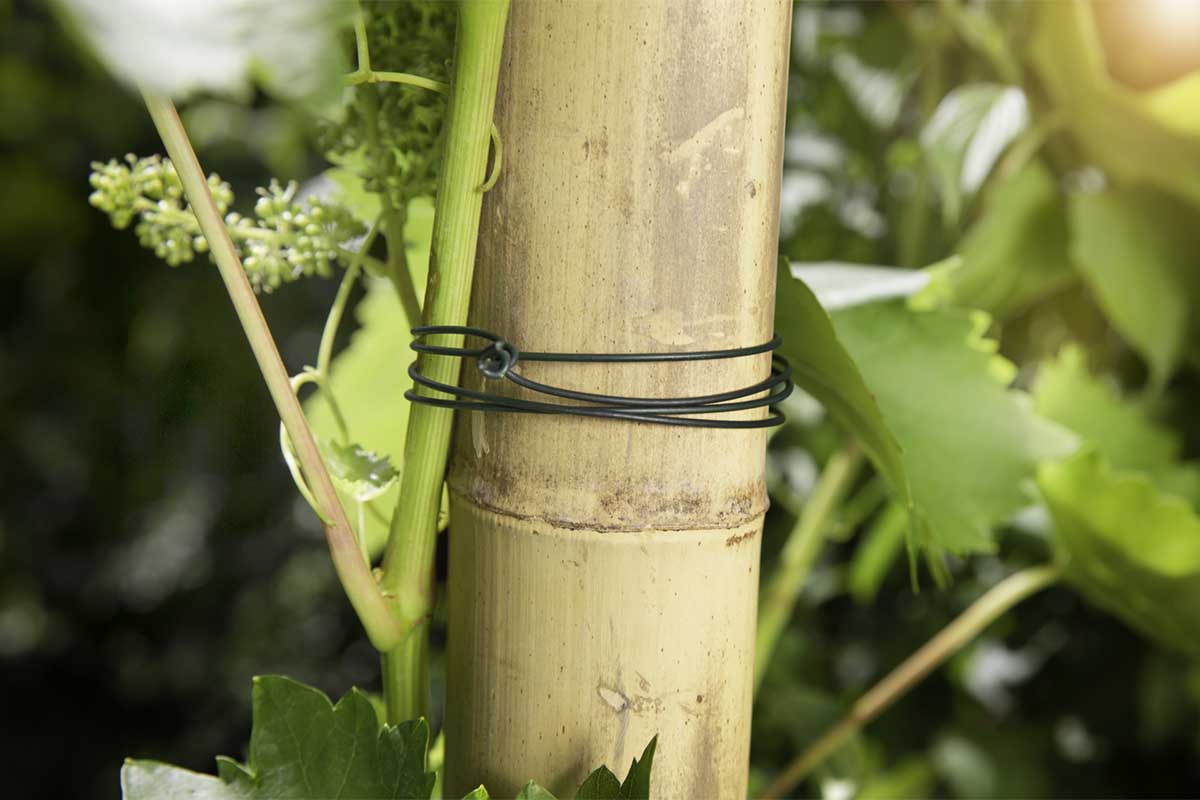 Žica za vezanje 1,4 mm, 60 m zelena