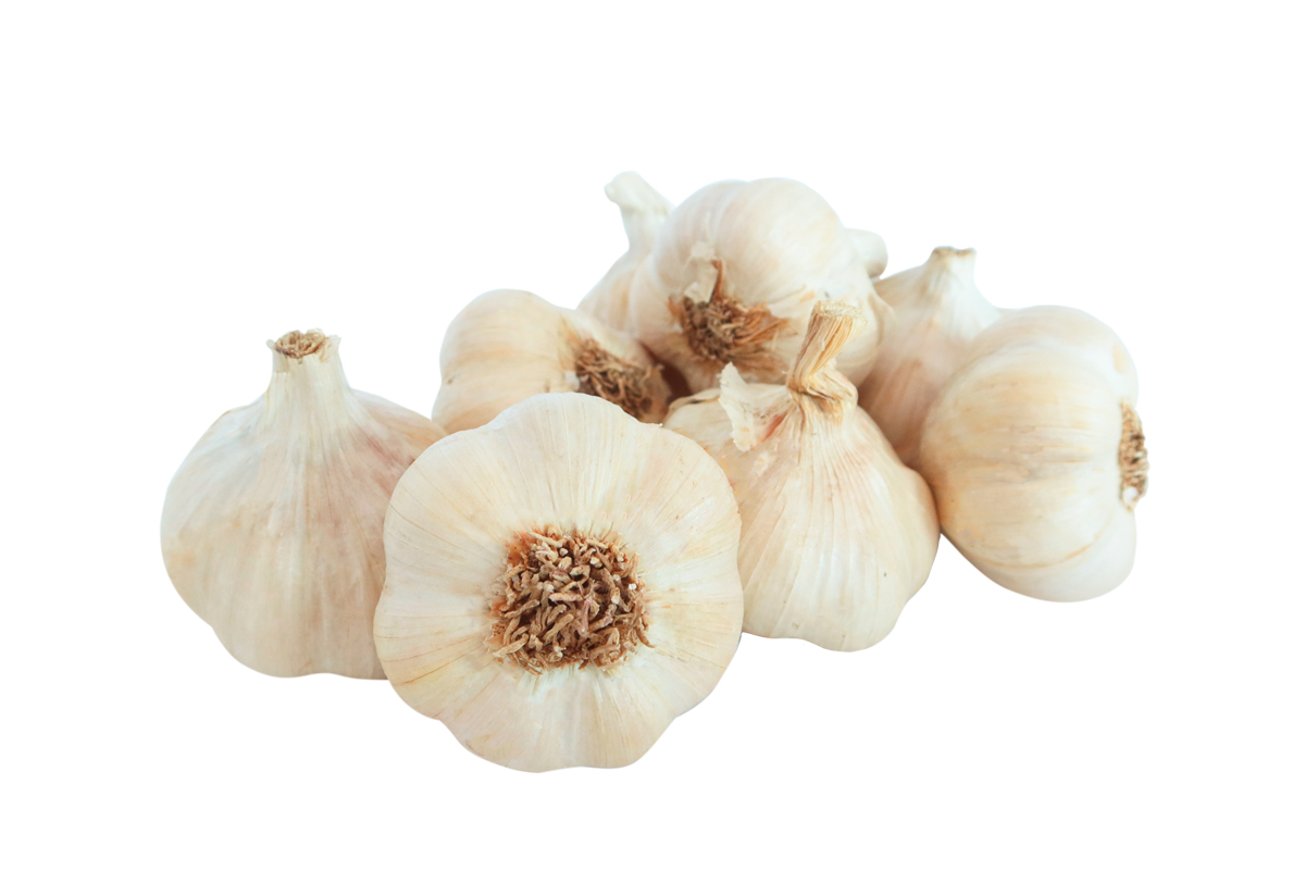 ČESEN PTUJSKI JESENSKI 500 g