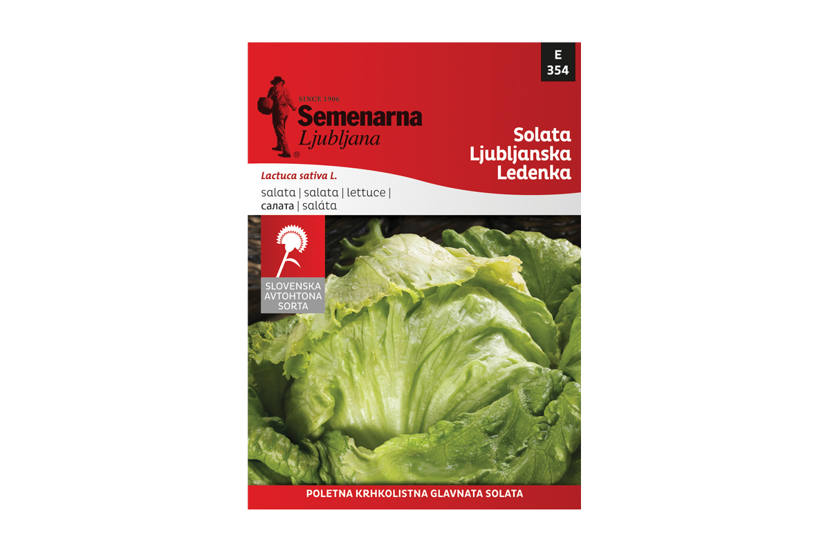 M.VREČKA 354 SOLATA LJUBLJANSKA LEDENKA