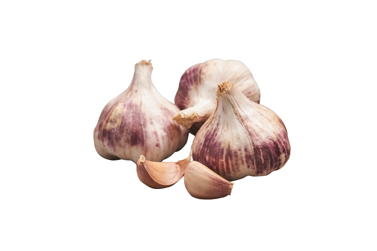 ČESEN GERMIDOUR 400 g