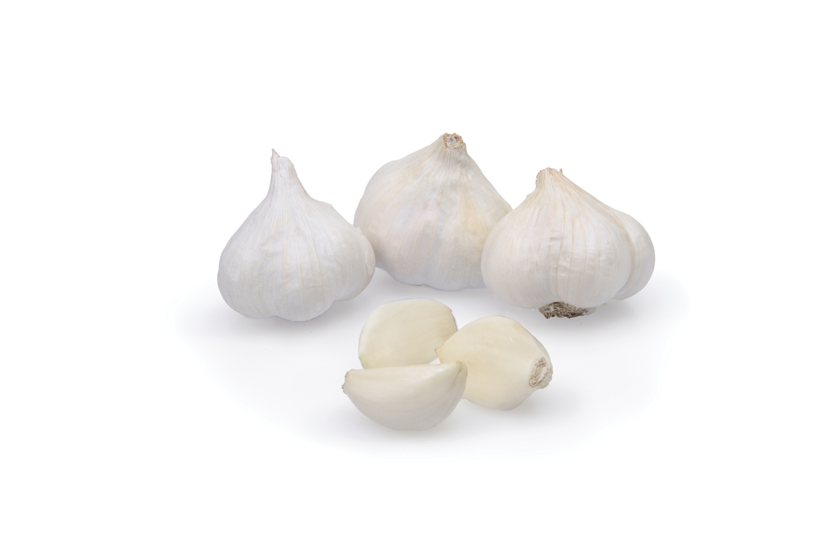 ČESEN MESSIDROME 400 g