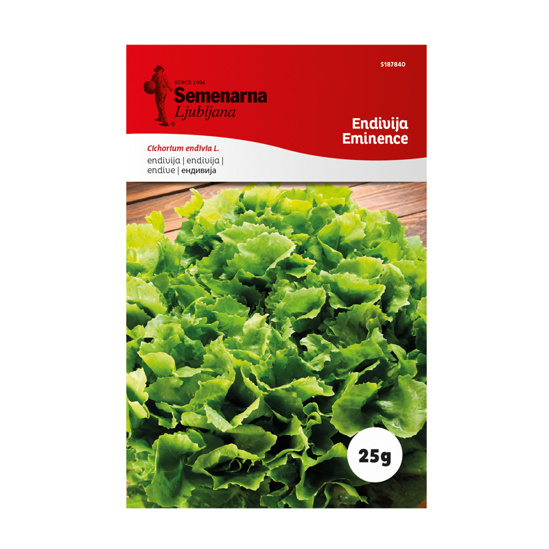 ENDIVIJA EMINENCE 25 g Semenarna