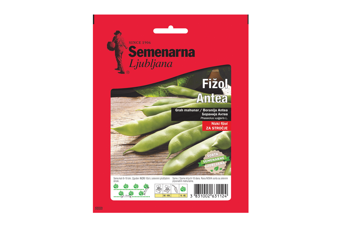 FIŽOL NIZEK ZELEN PLOŠČAT 100 g Semenarna