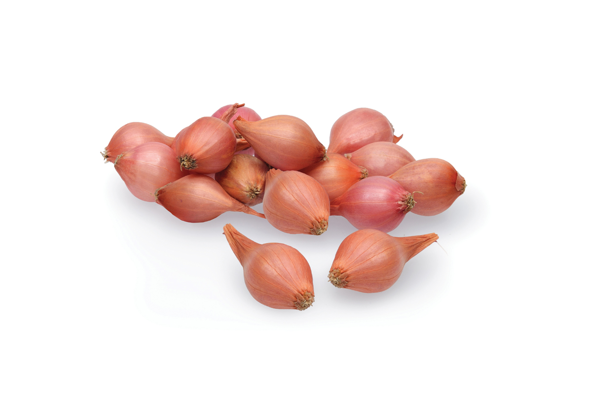 ČEBULČEK PTUJSKA RDEČA 500 g