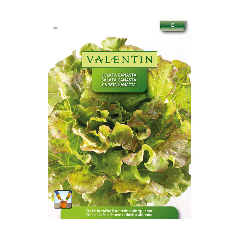 Valentin 388 solata Canasta