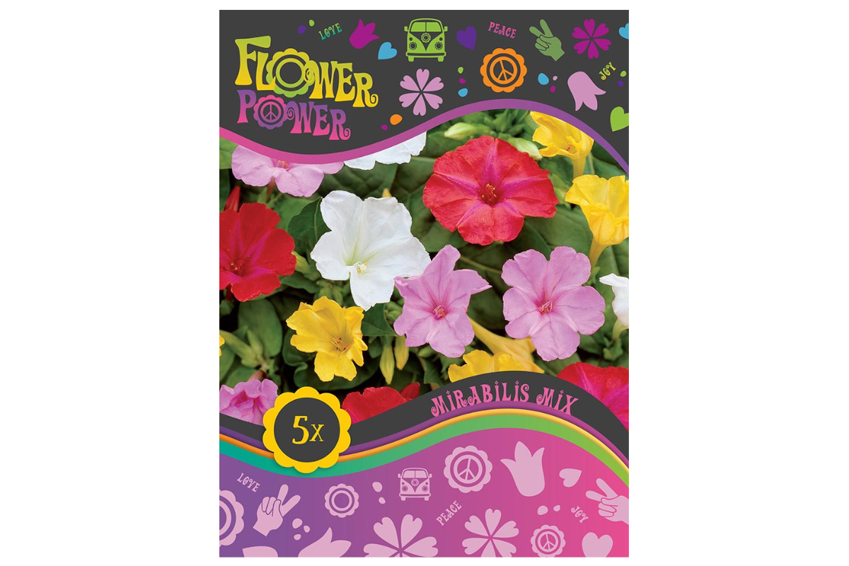 Flower power Mirabilis Mix 5/1
