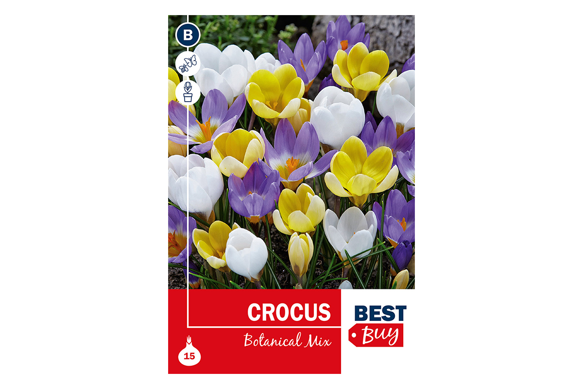 Super Best Buy Crocus Botanical Mix 15/1 