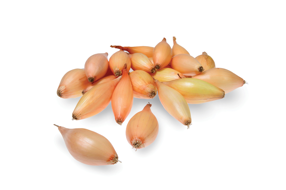 ČEBULČEK BELOKRANJKA 500 g