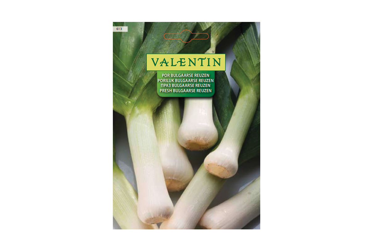 POR BULGAARSE REUZEN 613 Valentin