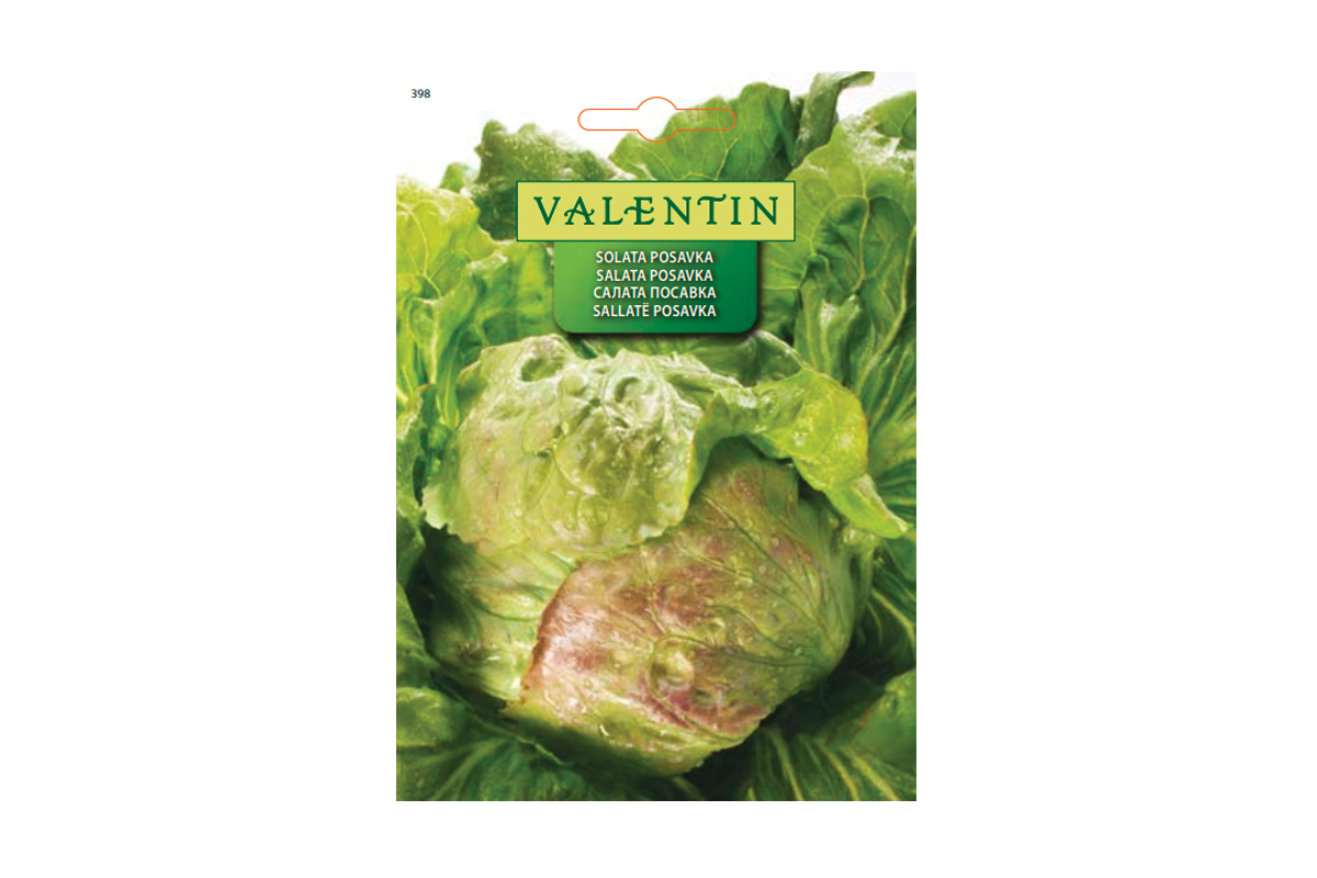 SOLATA POSAVKA 398 Valentin