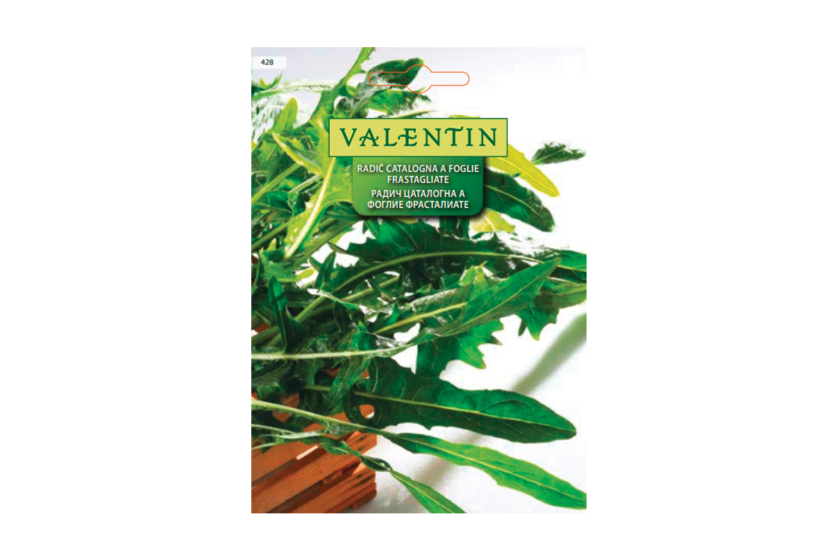 RADIČ CATALOGNA A FOGLIE FRASTAGLIATE 428 Valentin