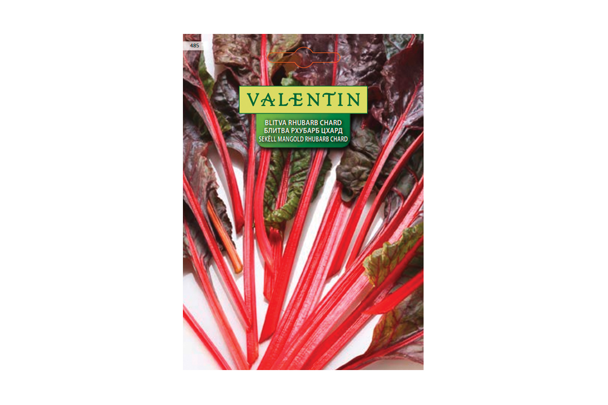 MANGOLD RHUBARB CHARD (rdečelistni) 485 Valentin 