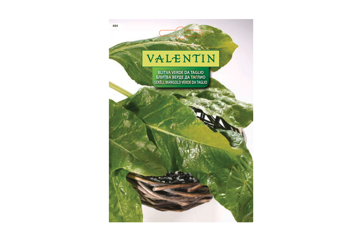 MANGOLD VERDE DA TAGLIO 484 Valentin