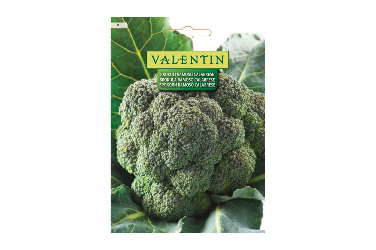 BROKOLI RAMOSO CALABRESE 9 Valentin