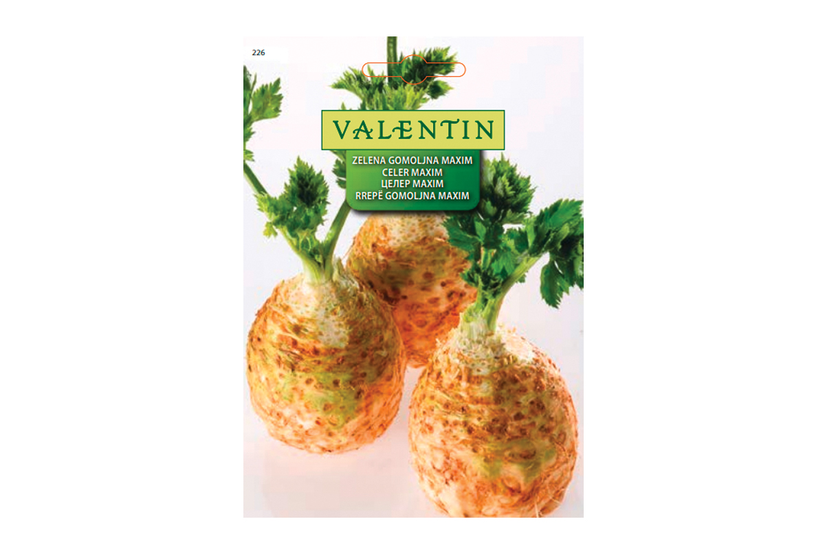 ZELENA GOMOLJNA MAXIM 226 Valentin