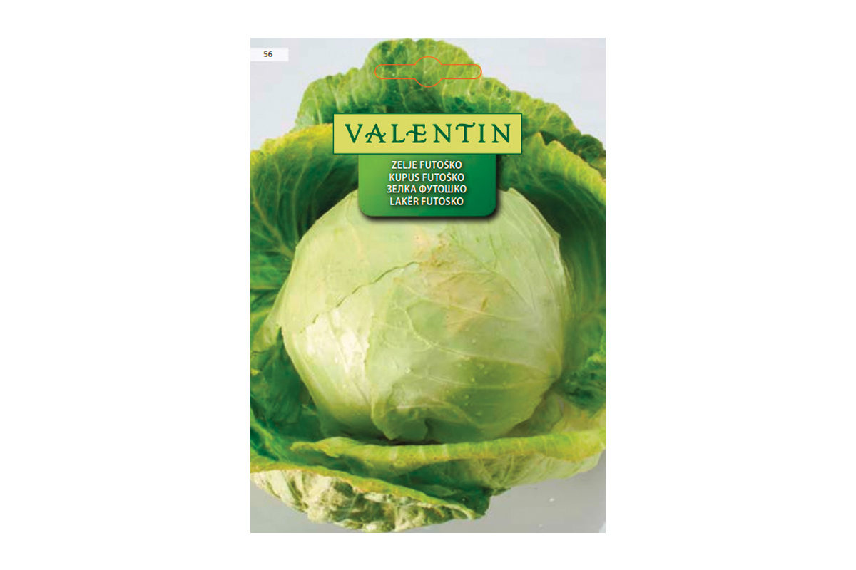 ZELJE FUTOŠKO 56 Valentin