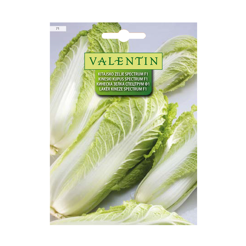 KITAJSKO ZELJE SPECTRUM F1 71 Valentin