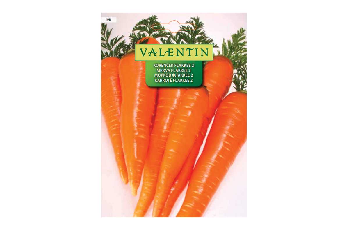 KORENČEK FLAKKEE 2 198 Valentin