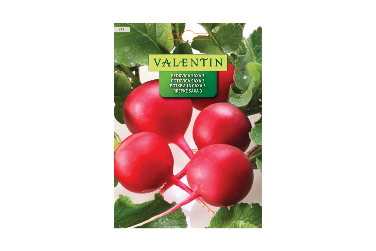 REDKVICA SAXA 3 297 Valentin