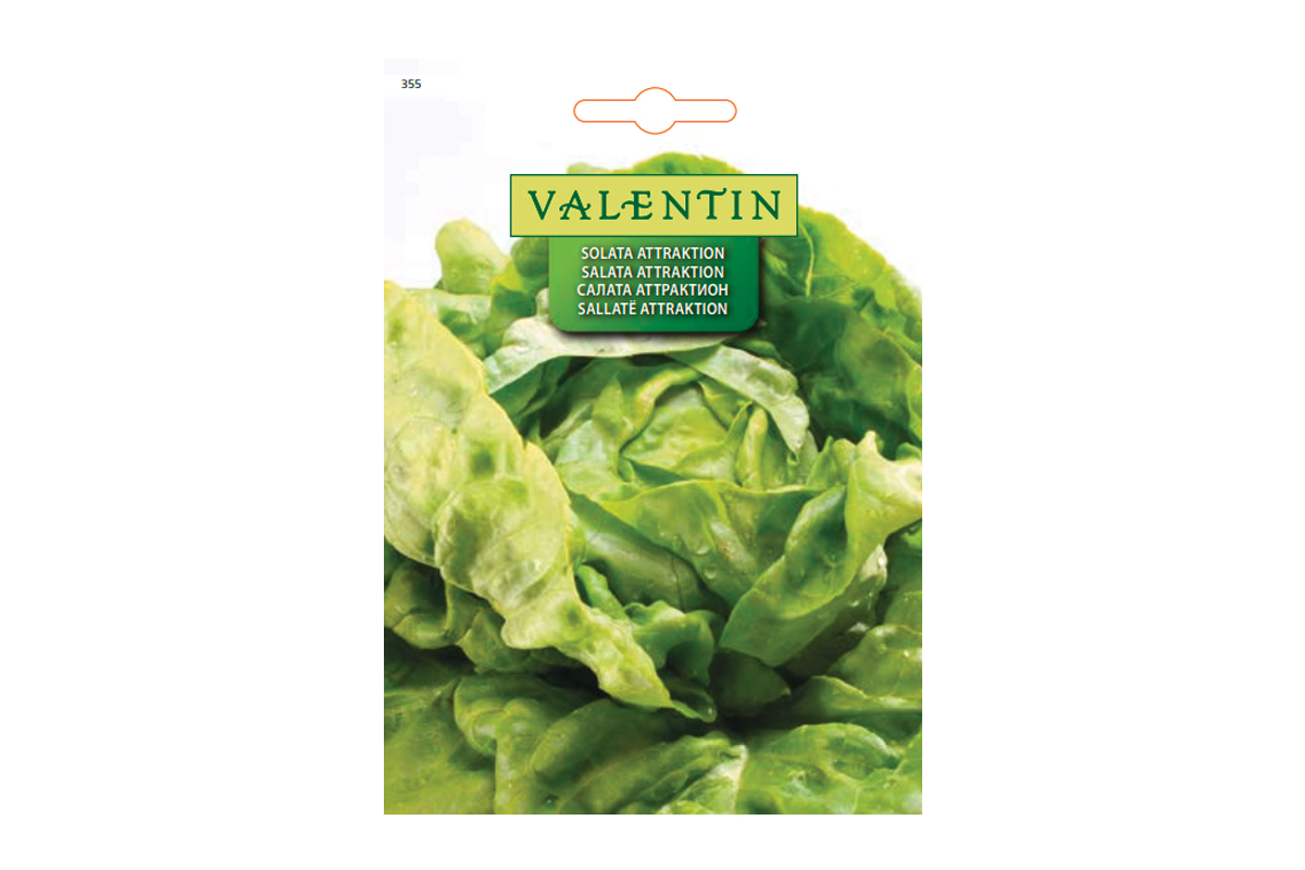 SOLATA ATTRAKTION 355 Valentin