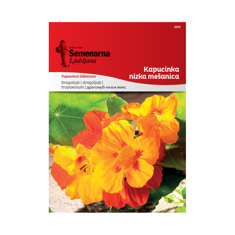 KAPUCINKA NIZKA - MEŠANICA 5515 Semenarna