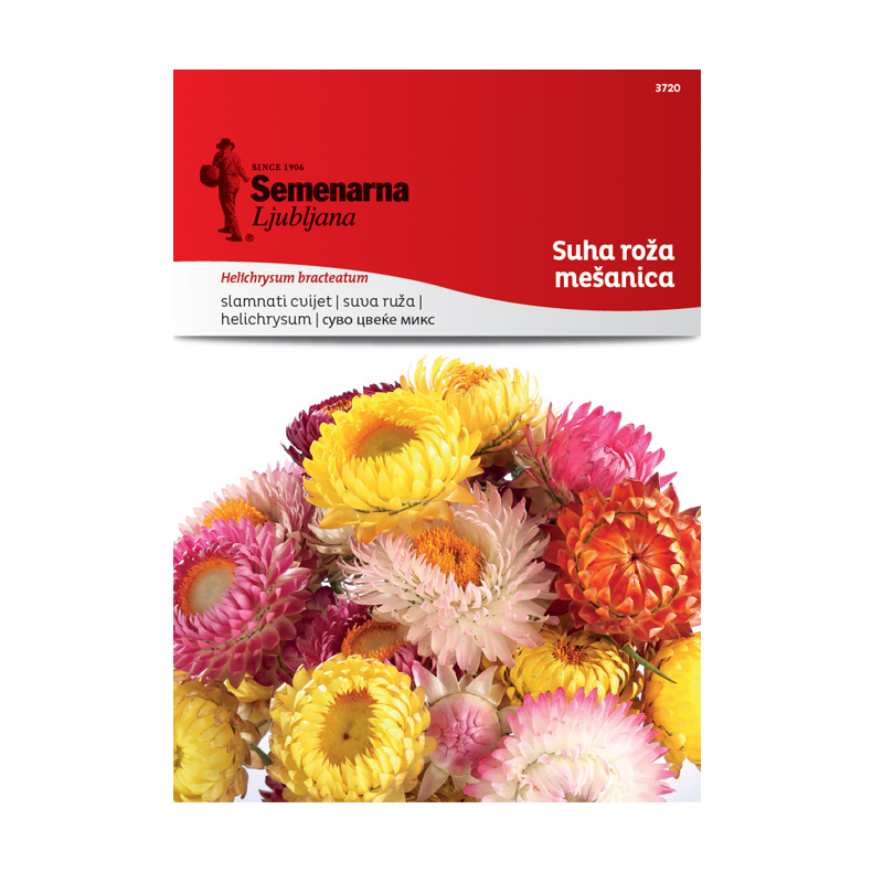 SUHA ROŽA - MEŠANICA 3720 Semenarna