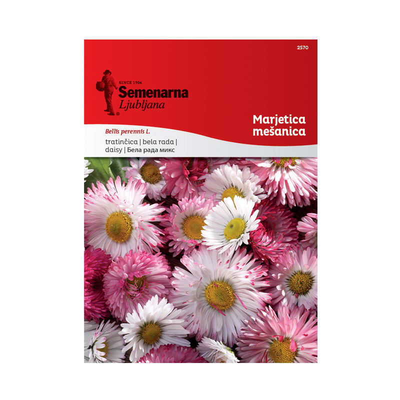 MARJETICA - MEŠANICA (Bellis perennis) 2570 Semenarna 