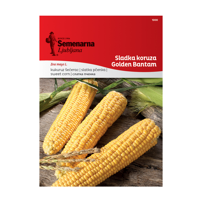 SLADKA KORUZA GOLDEN BANTAM 1300 Semenarna