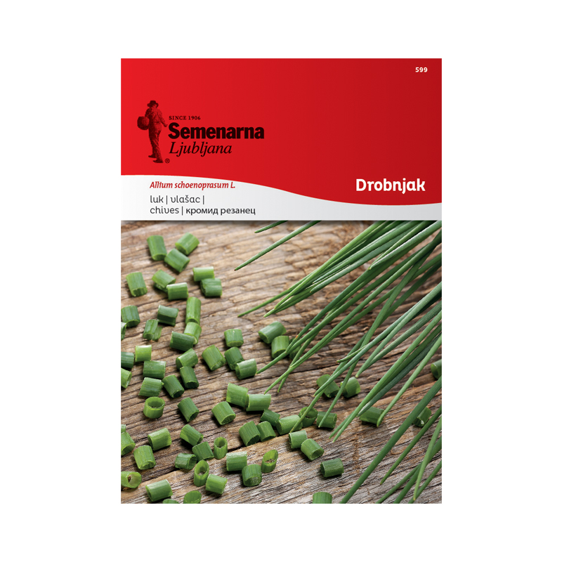 DROBNJAK MEDIUM LEAF 599 Semenarna