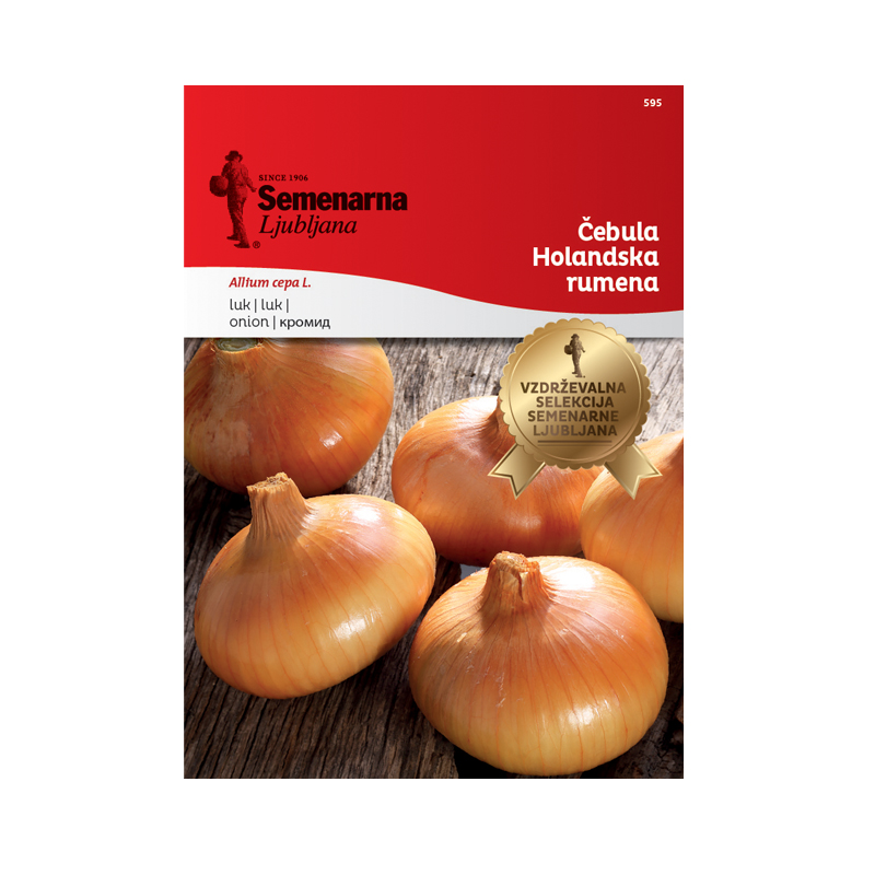 ČEBULA HOLANDSKA RUMENA 595 Semenarna