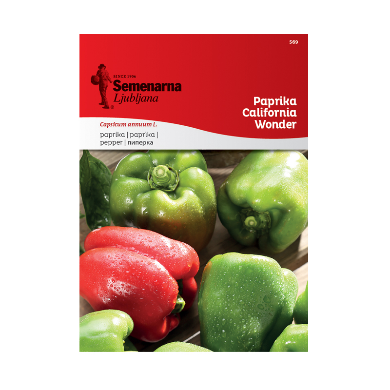 PAPRIKA CALIFORNIA WONDER 569 Semenarna
