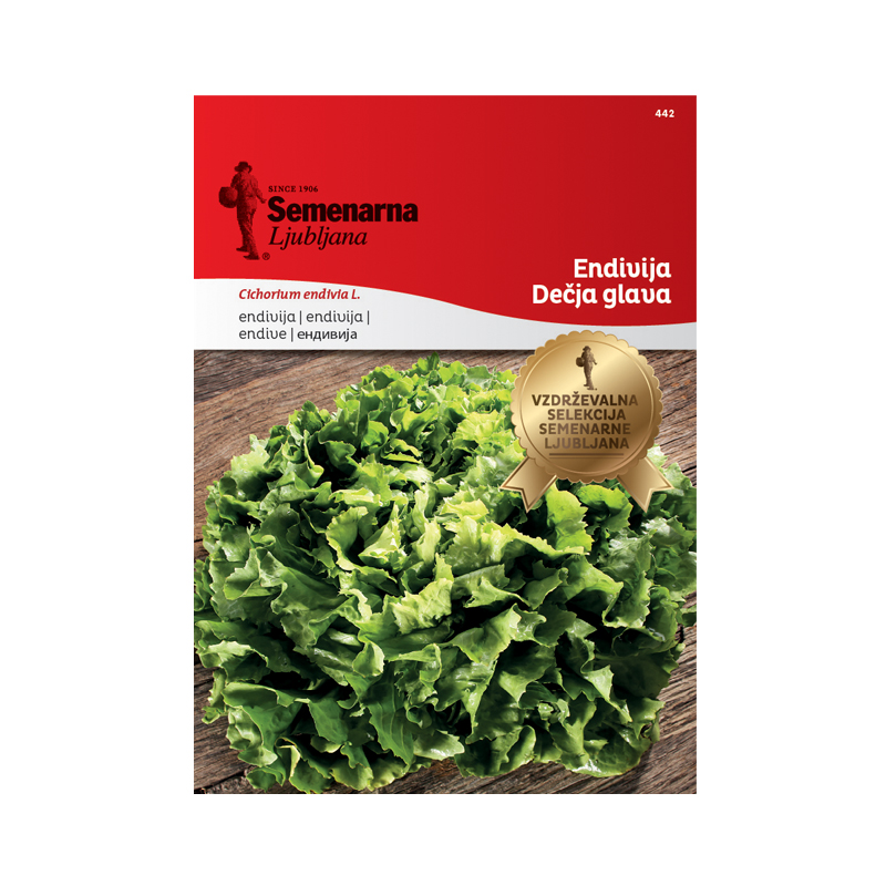 ENDIVIJA DECJA GLAVA 442 Semenarna
