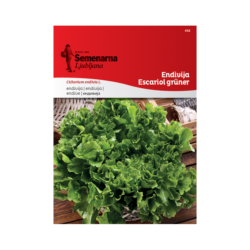 ENDIVIJA ESCARIOL GRUNER 432 Semenarna