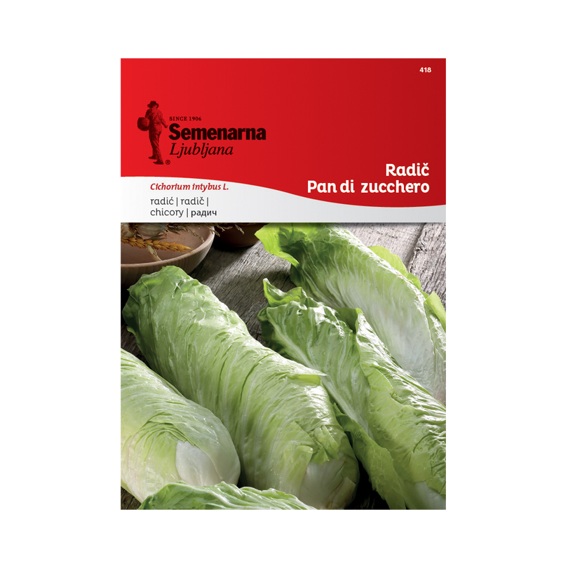 RADIČ PAN DI ZUCCHERO 418 Semenarna