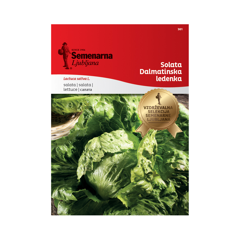 SOLATA DALMATINSKA LEDENKA 361 Semenarna