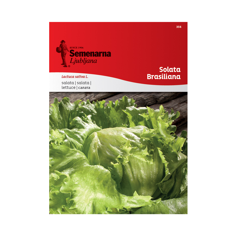 SOLATA BRASILIANA 356 Semenarna