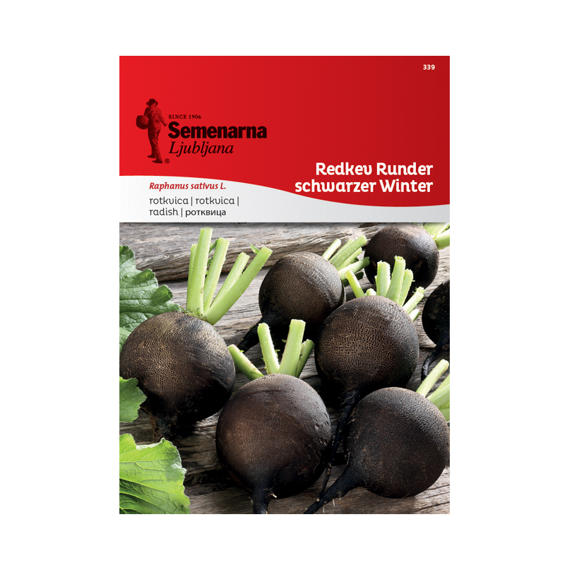ČRNA REDKEV RUNDER SCHWARZER WINTER 339 Semenarna