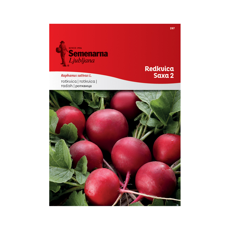 REDKVICA SAXA 2 297 Semenarna