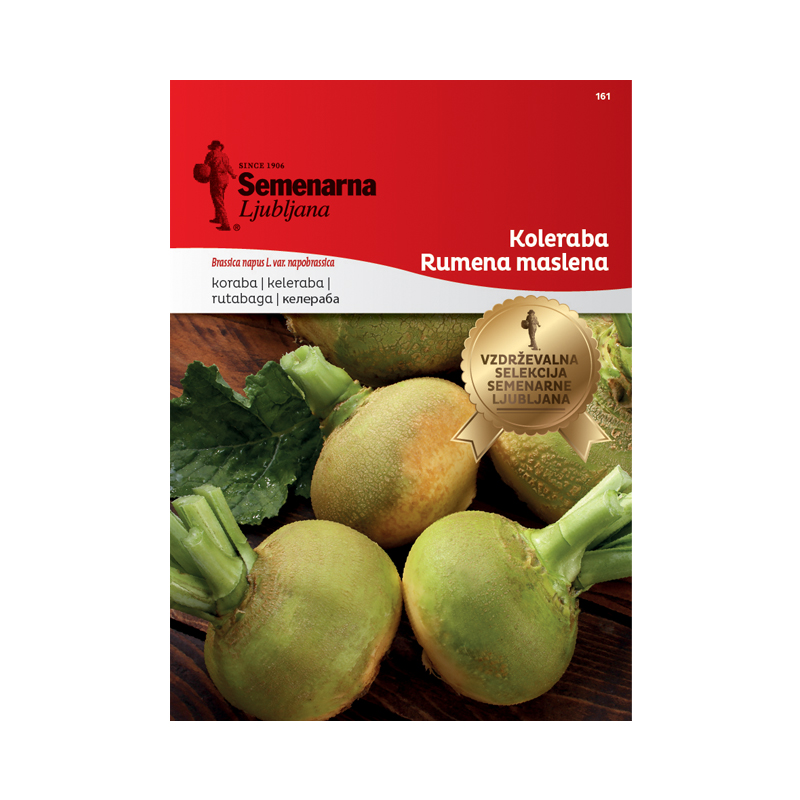 Koleraba Rumena Maslena 161 Semenarna 