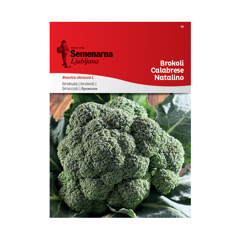 BROKOLI CALABRESE NATALINO 14 Semenarna