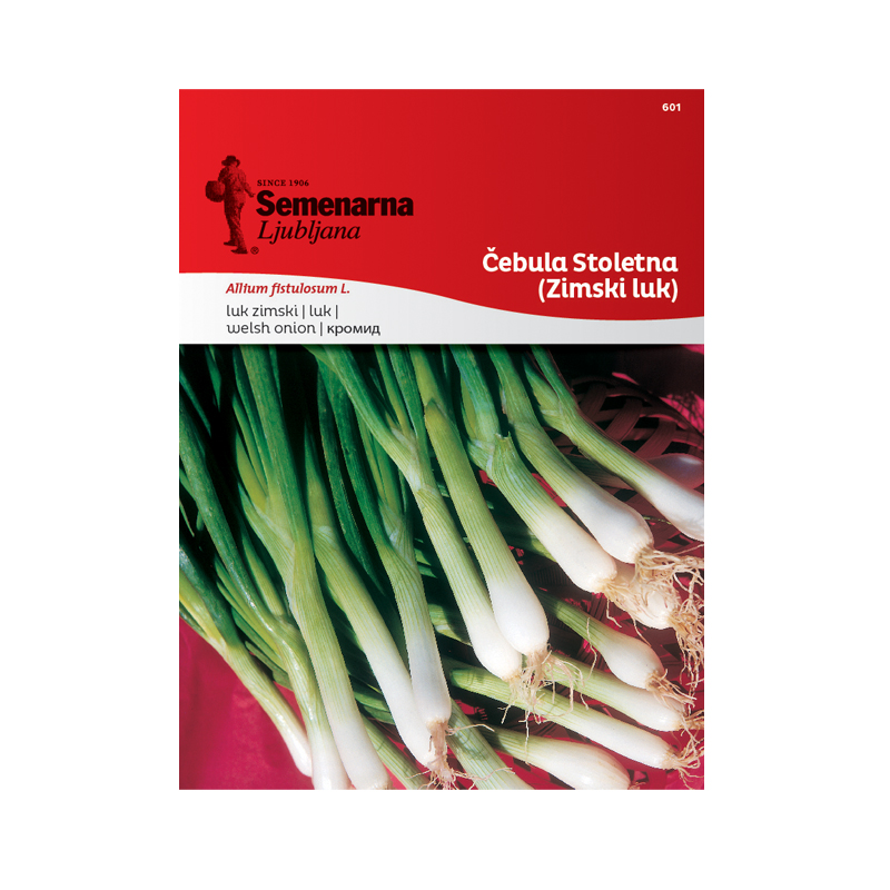 ČEBULA STOLETNA (Zimski luk) 601 Semenarna