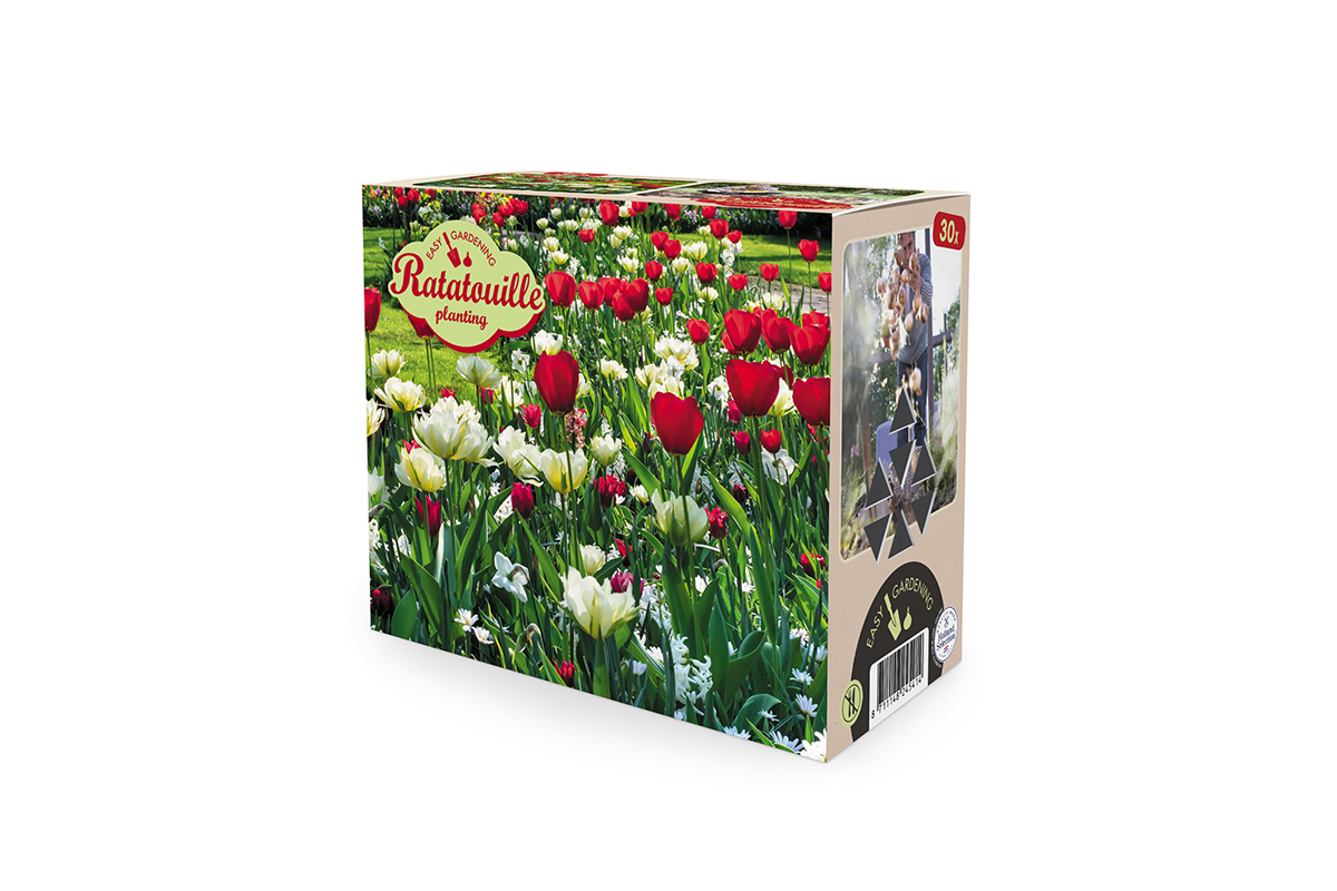 Ratatouille, Red & White tones 30/1 