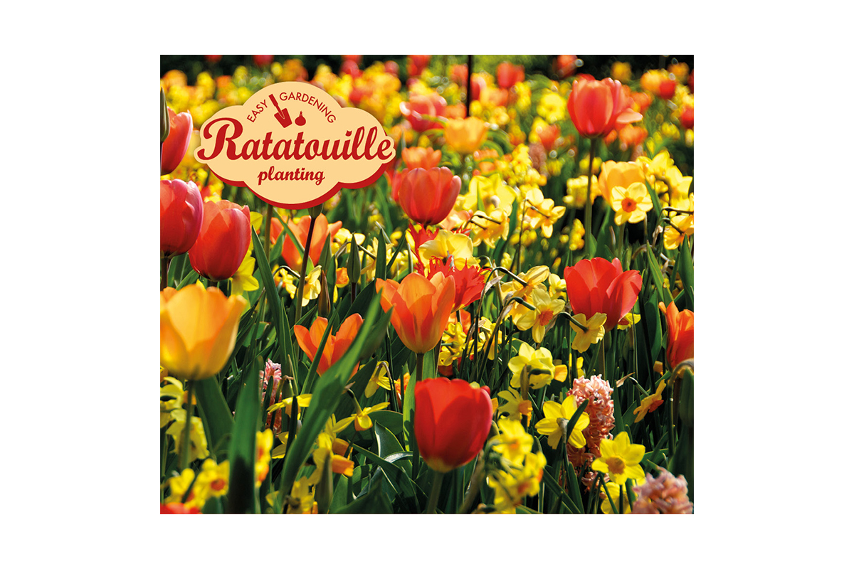 Ratatouille, Yellow & Orange Tones  24 /1 