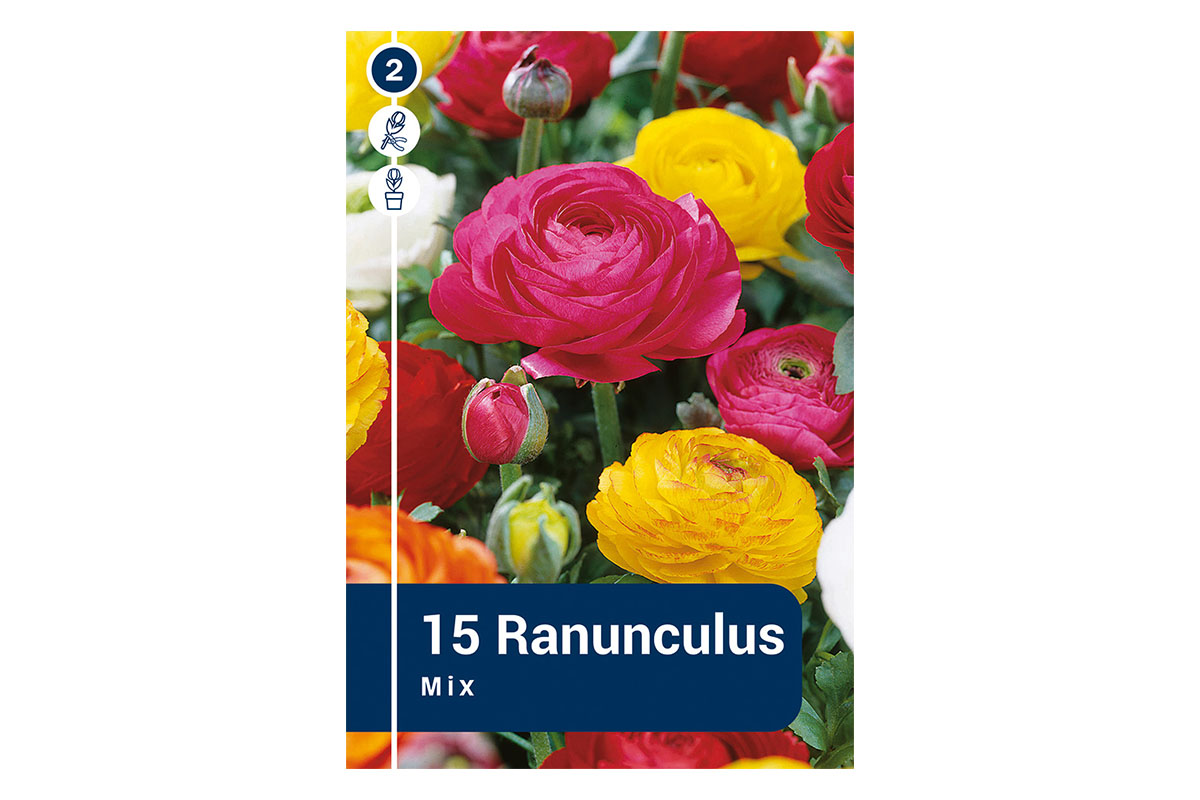 Master Ranunculus Mix 15/1 