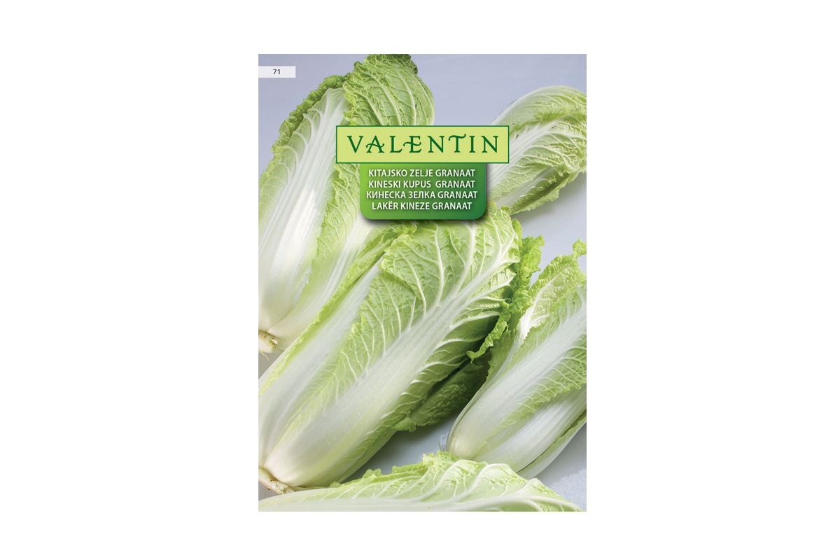 KITAJSKO ZELJE GRANAAT 71 Valentin