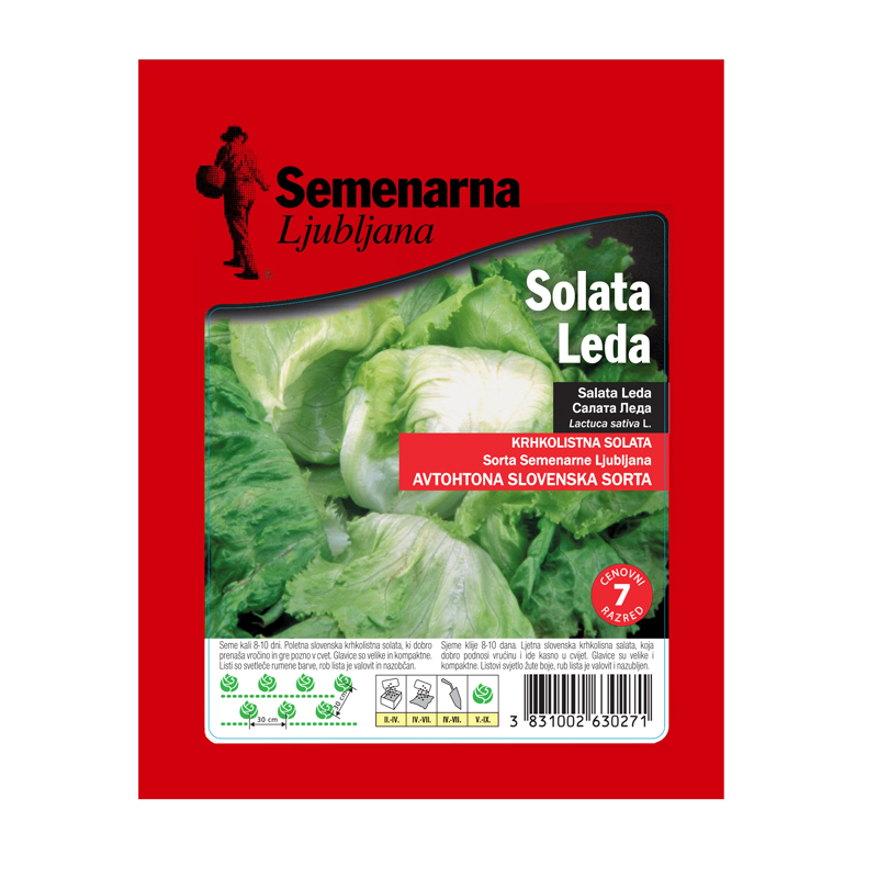 SOLATA LEDA 25 g Semenarna 