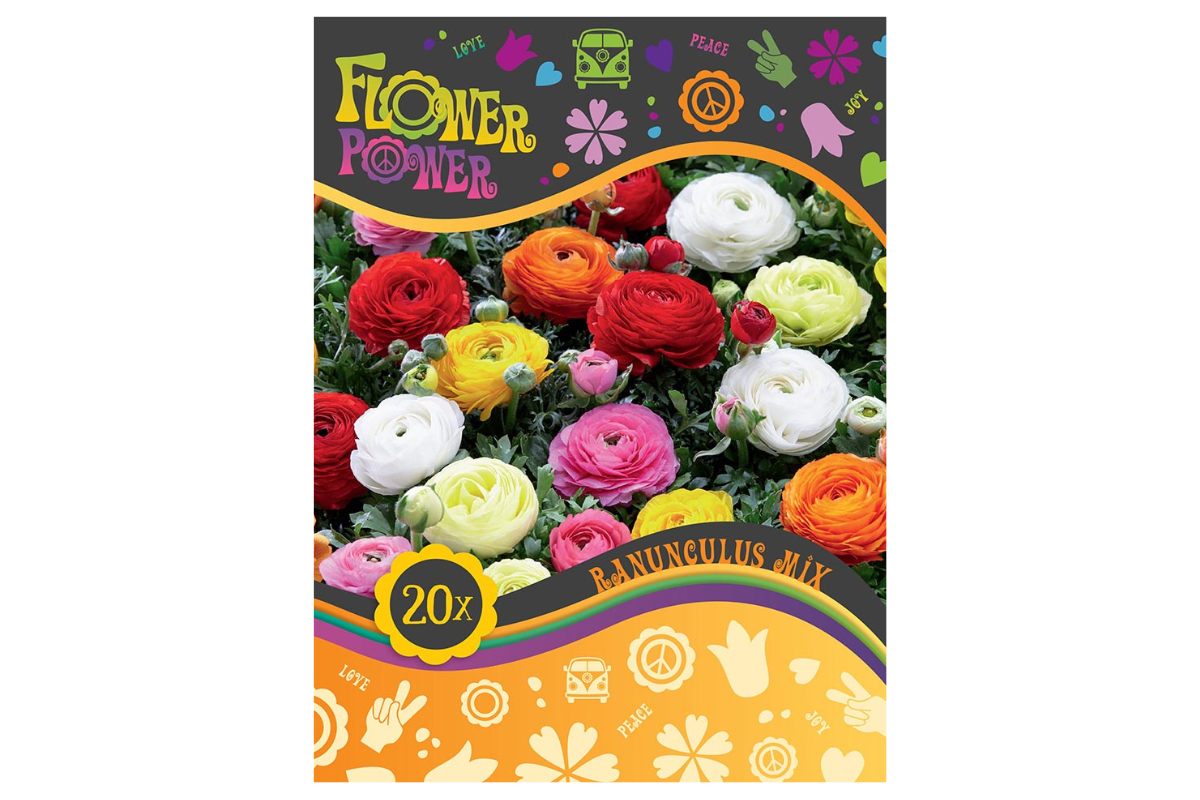 Flower Power Ranunculus Mix 20/1 