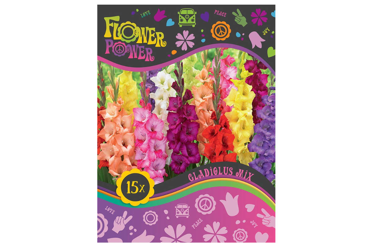Flower Power Gladiolus Mix 15/1 