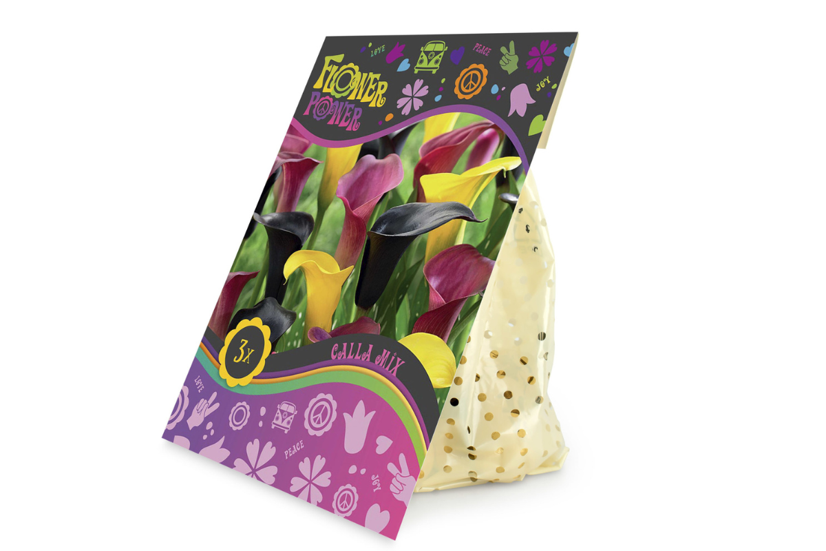 Flower Power Calla Mix 3/1 